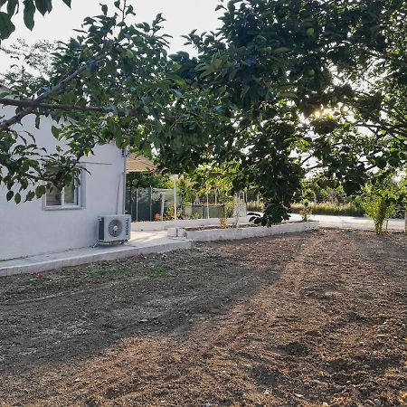 Alibaba Villa Near Airport And Beach Dalaman Extérieur photo