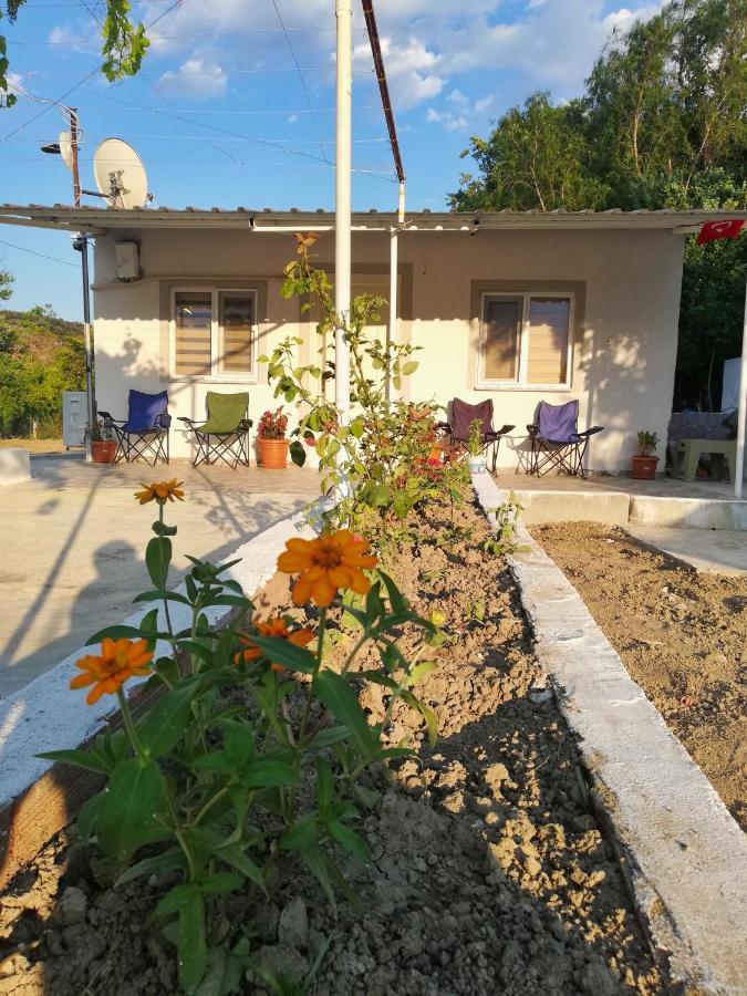Alibaba Villa Near Airport And Beach Dalaman Extérieur photo