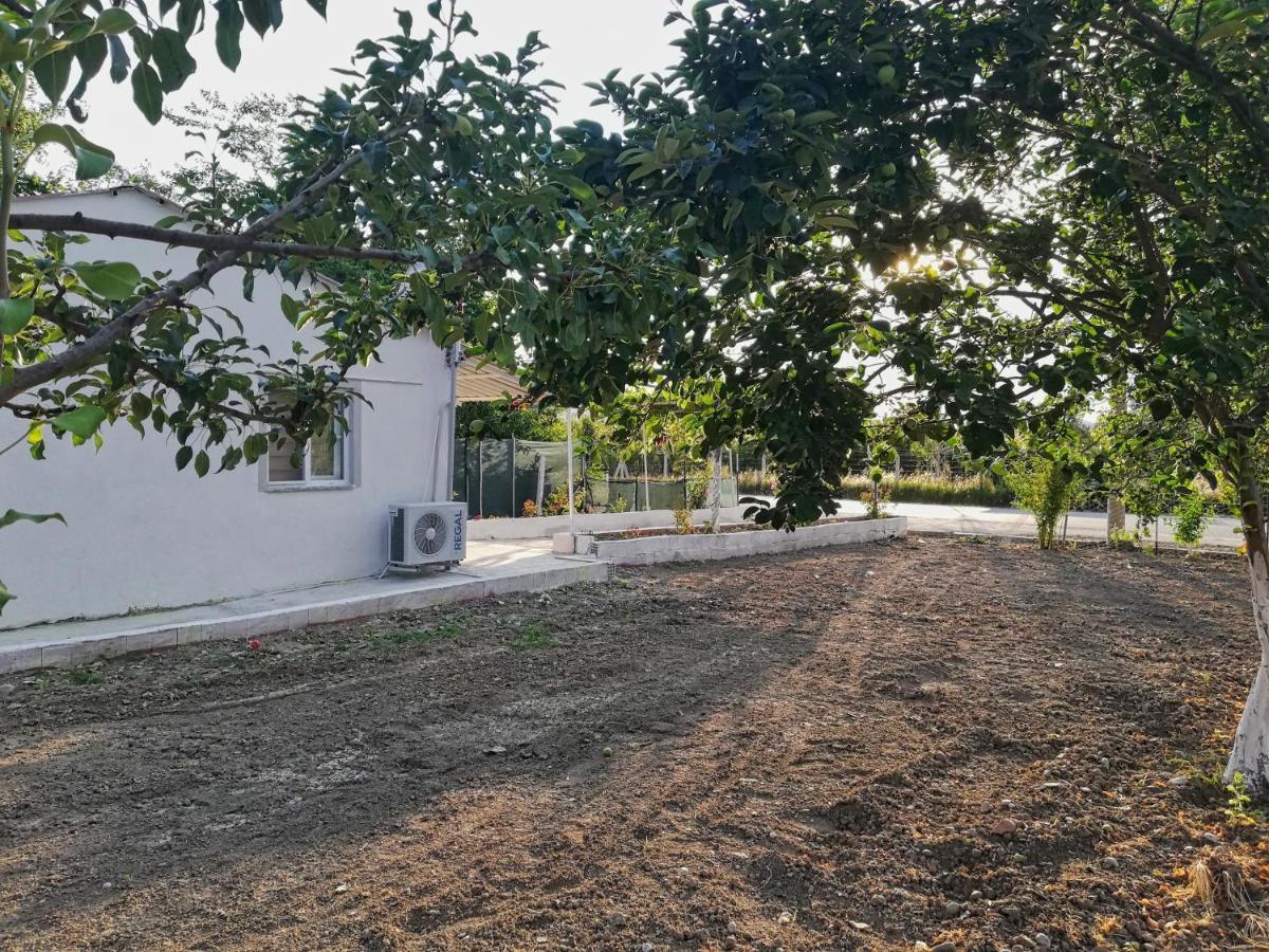 Alibaba Villa Near Airport And Beach Dalaman Extérieur photo