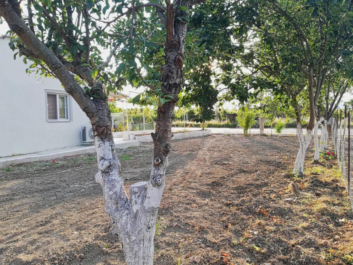 Alibaba Villa Near Airport And Beach Dalaman Extérieur photo