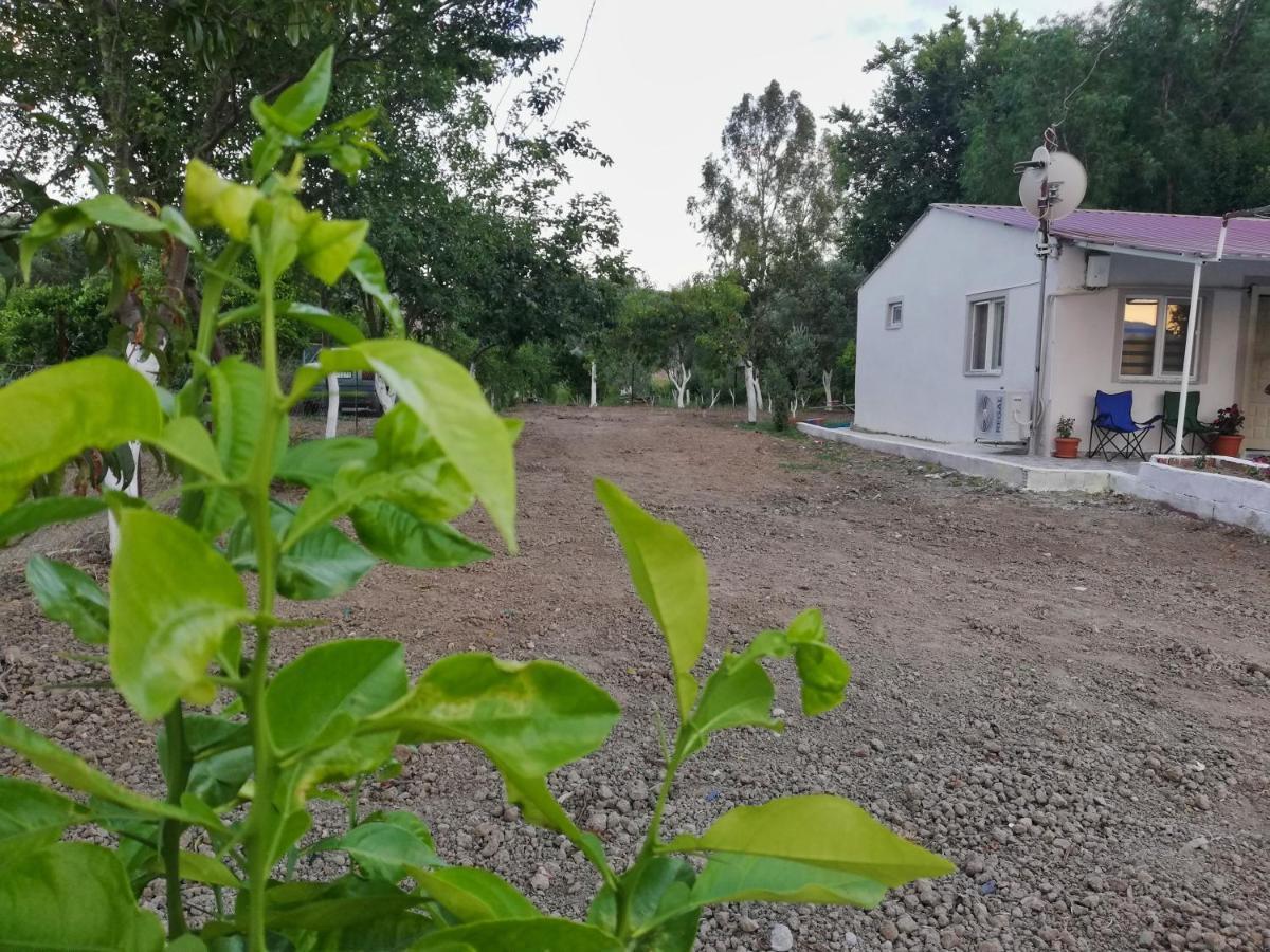 Alibaba Villa Near Airport And Beach Dalaman Extérieur photo